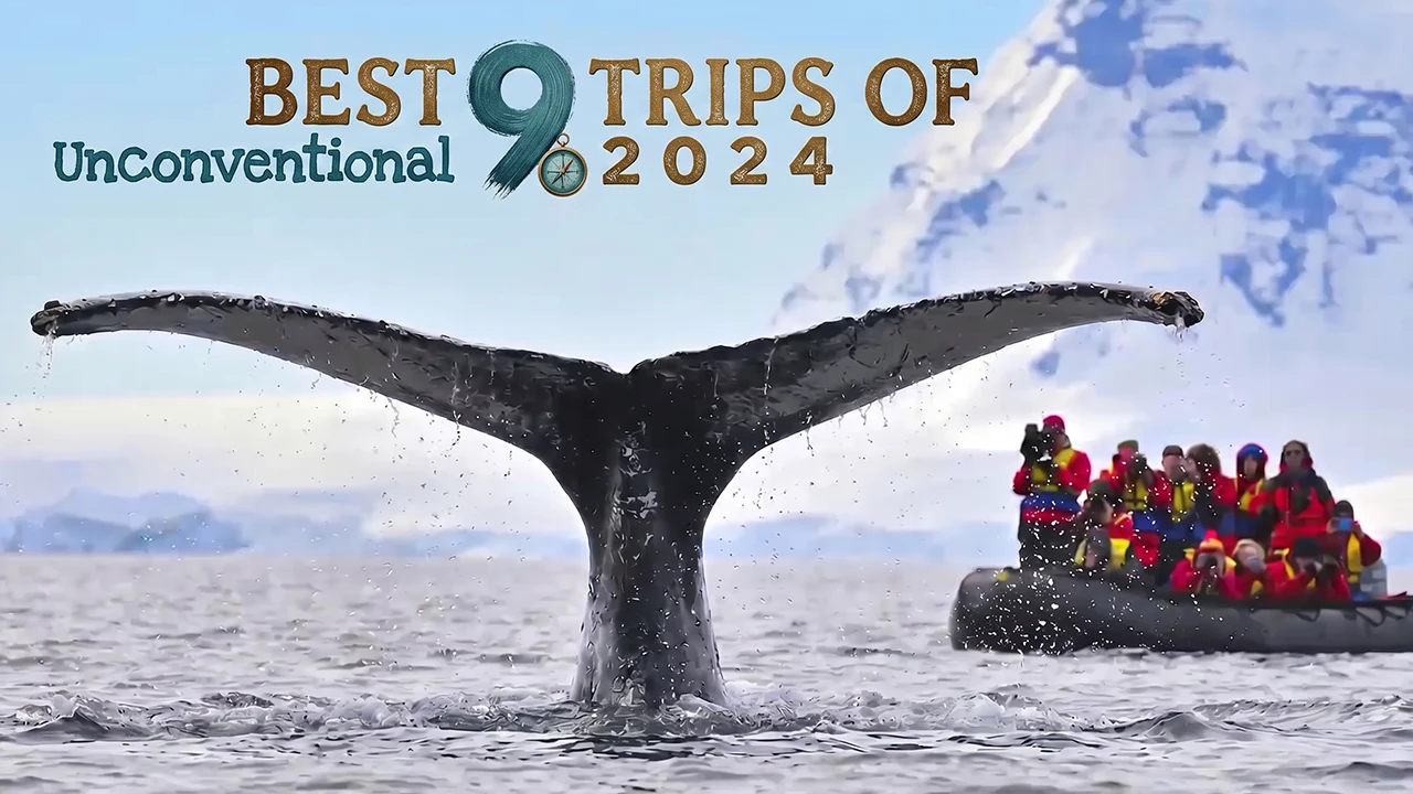 Ditch the traditional beach resort vacations and opt for an unconventional journey, where you can indulge in a unique adventure that leaves you with unforgettable memories.