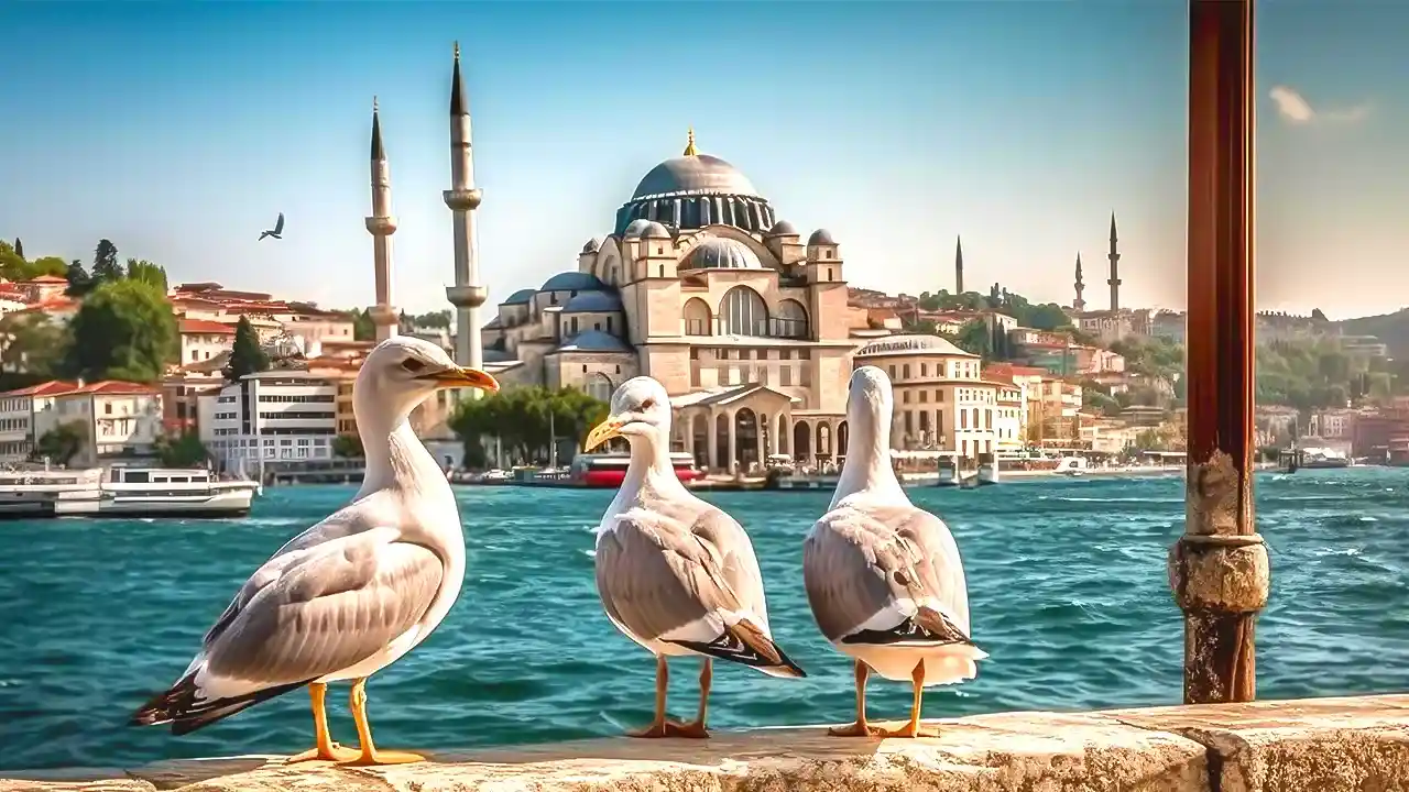 Istanbul trip