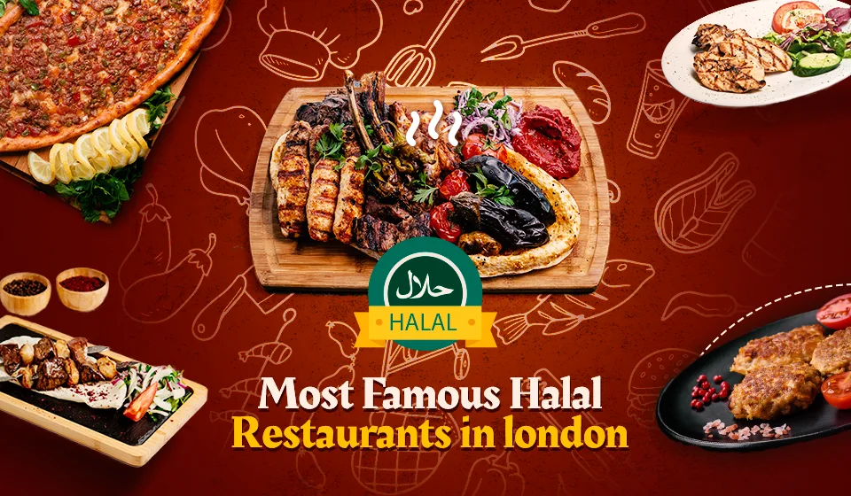 Eat your meal safely and enjoy the most delicious halal meals in London.