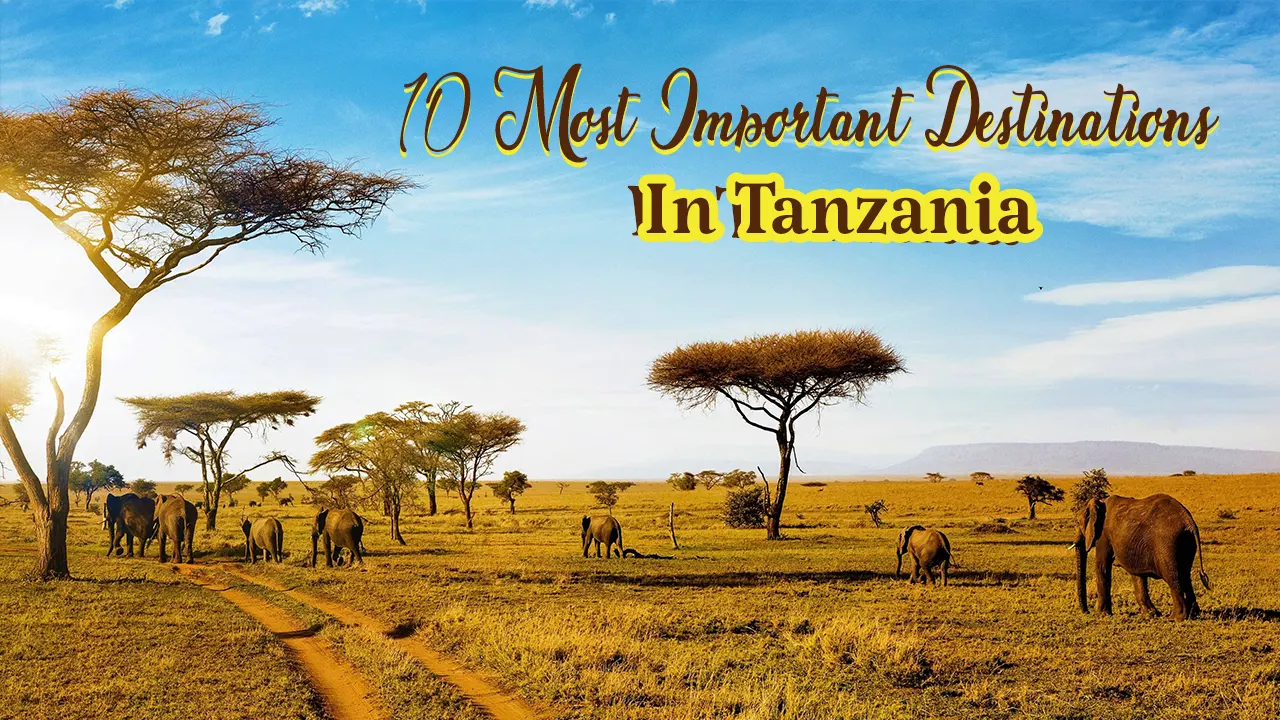 Experience an unforgettable journey inside Tanzania and discover its most important and famous tourist destinations and landmarks, exploring its charming and unique natural beauty.