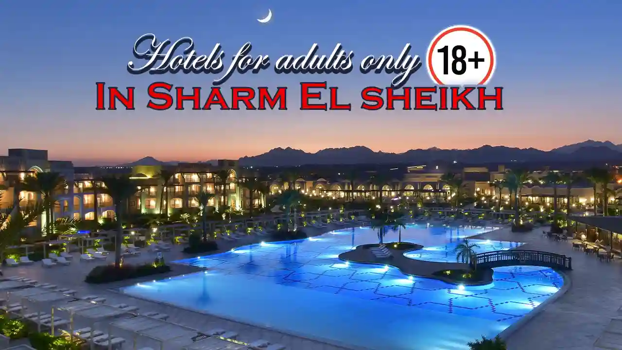 Adults-only hotels in Sharm El Sheikh provide an exceptional experience for guests seeking peace and tranquility. They offer luxurious services, private pools, and breathtaking views of the Red Sea. These hotels are perfect for couples and those looking to enjoy a romantic vacation away from noise and children.