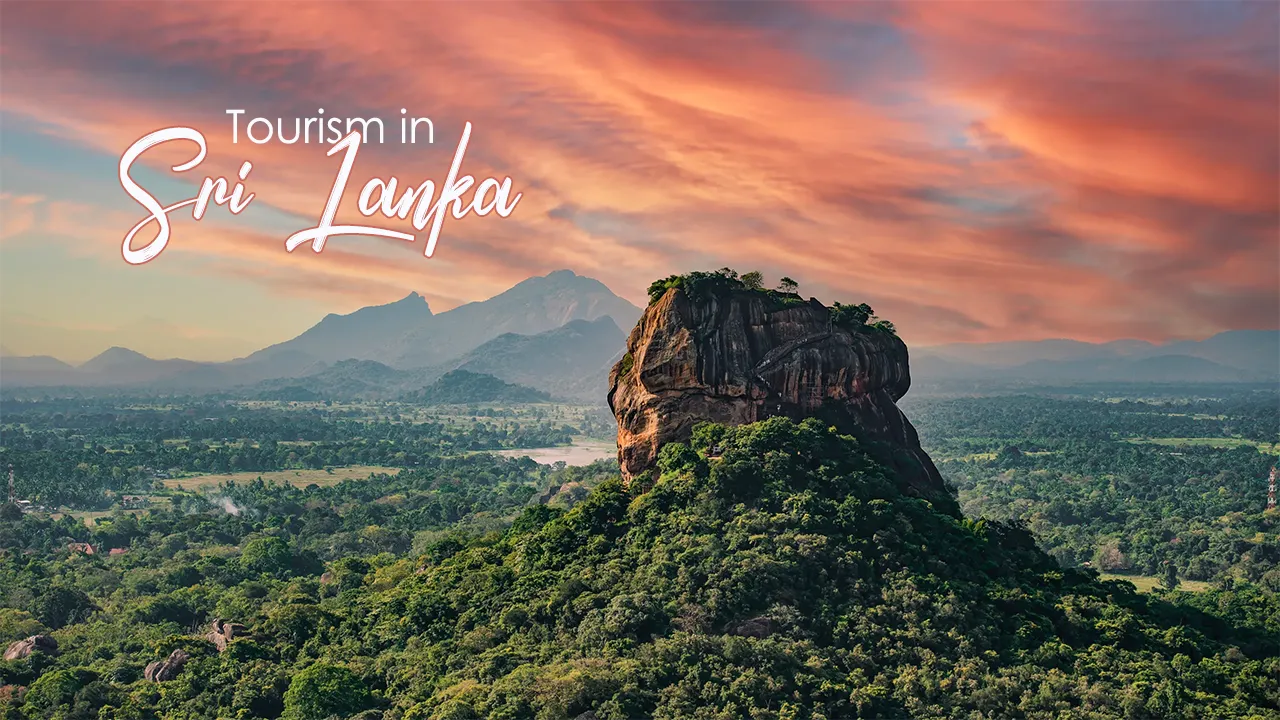 There is no need to search far and wide for the best island countries in South Asia; Sri Lanka will provide you with all the incredible tourist attractions, historical landmarks, and stunning destinations.