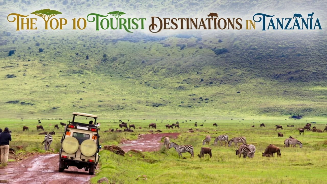 Experience an unforgettable journey inside Tanzania and discover its most important and famous tourist destinations and landmarks, exploring its charming and unique natural beauty.
