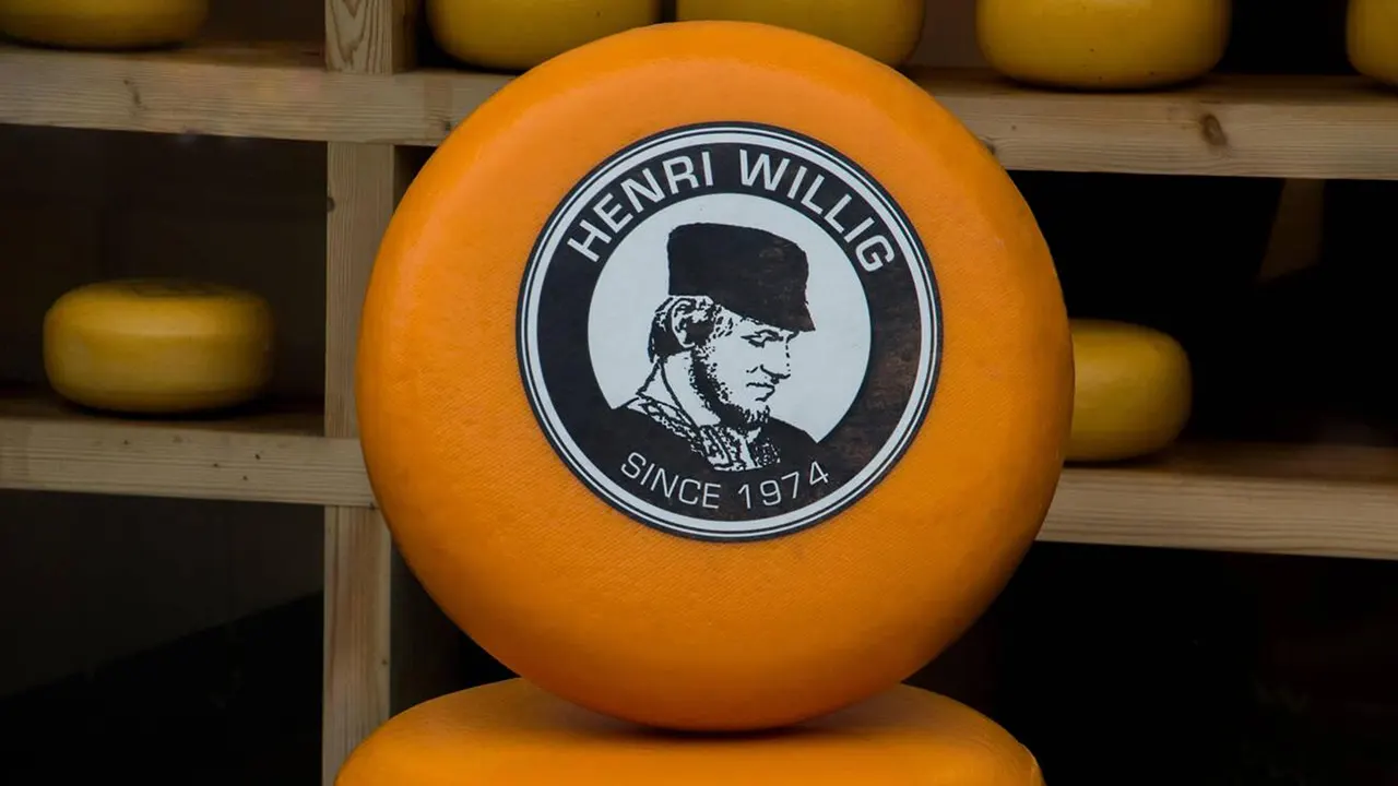 Henri Willig Cheese Tasting Experience