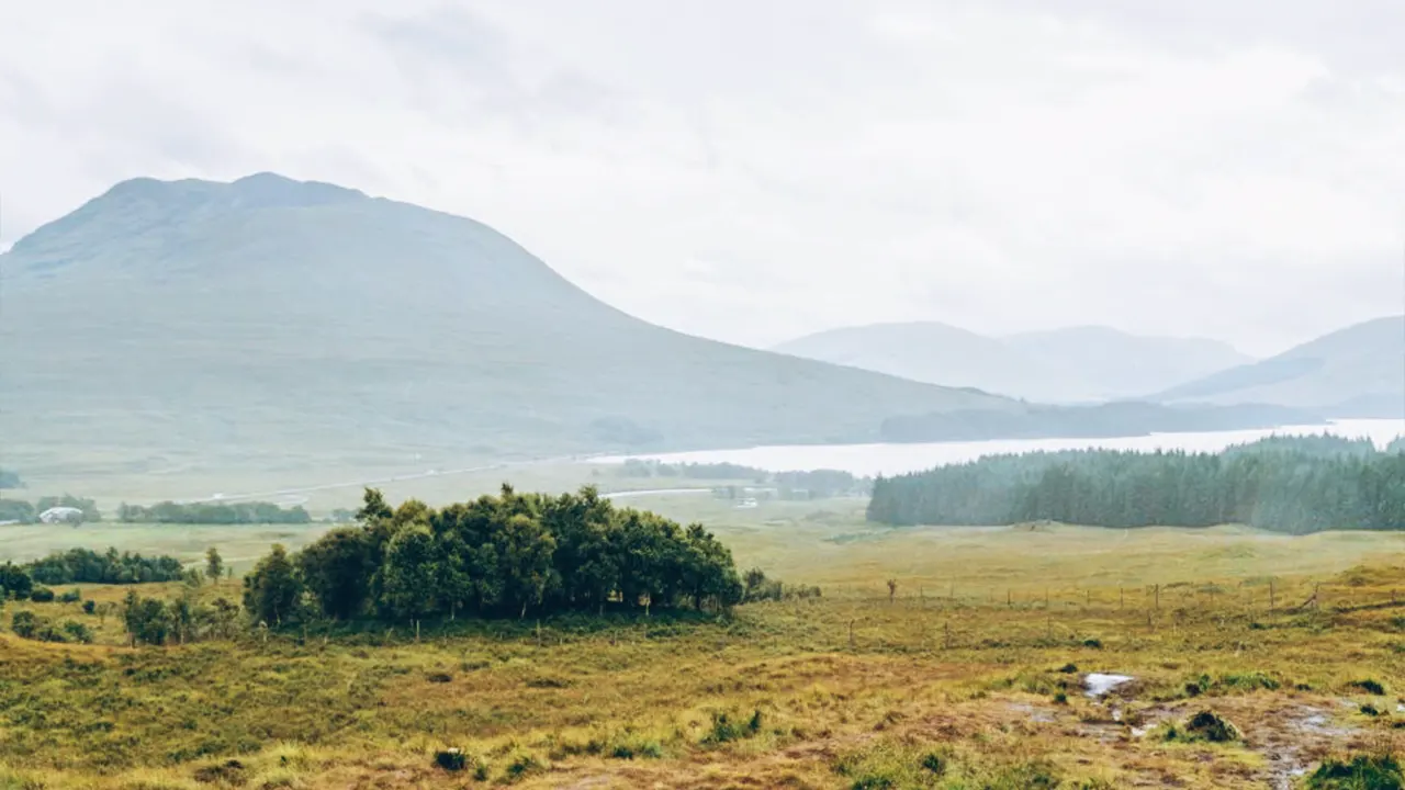 A nature tour of Edinburgh