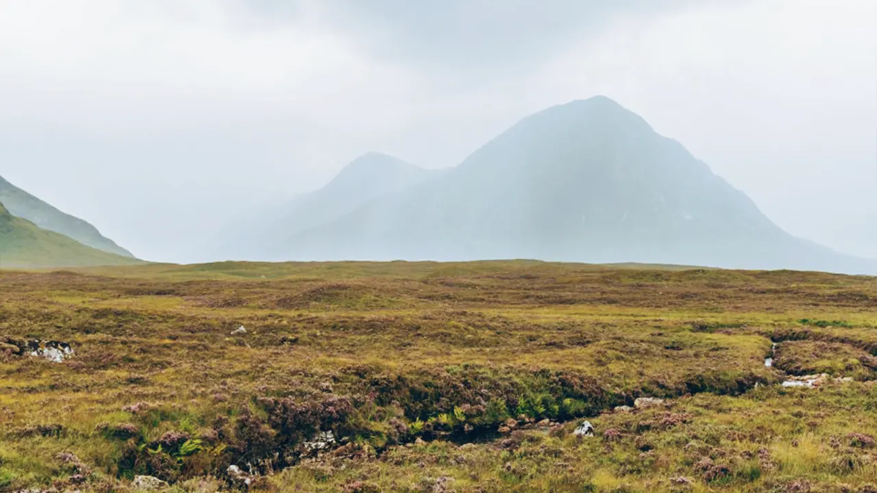 A nature tour of Edinburgh