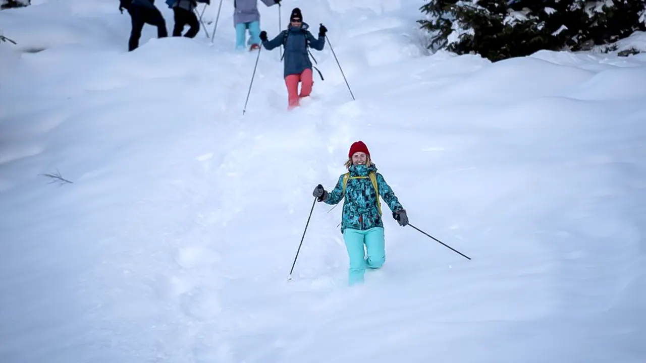 Wetterhorn trail snowshoeing tour