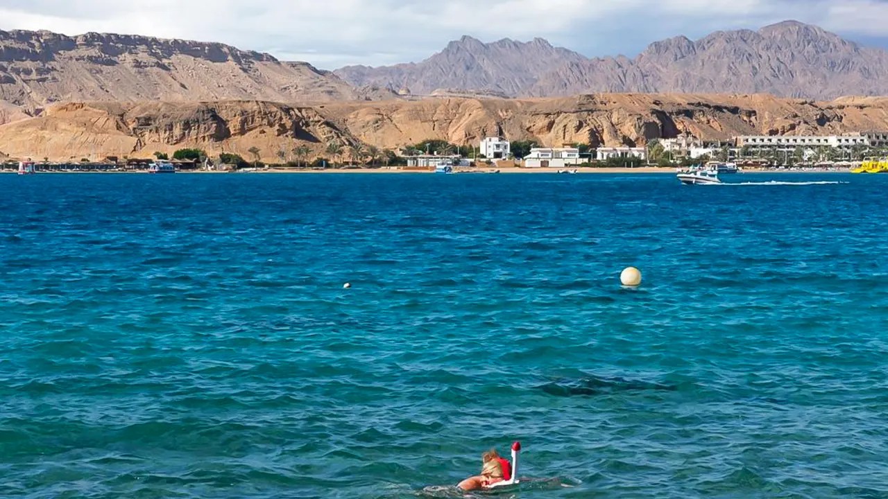 Ras Mohammed and Island Cruise with Lunch