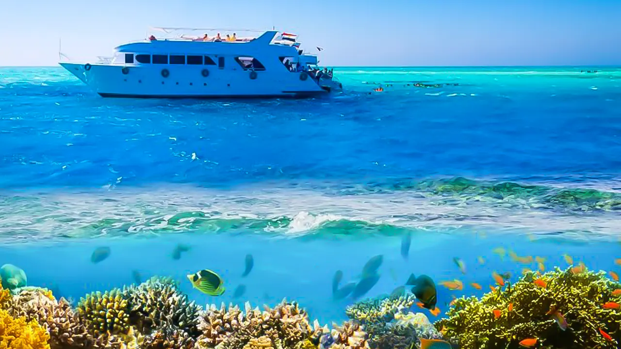 Luxury Boat Cruise with Snorkeling & Lunch