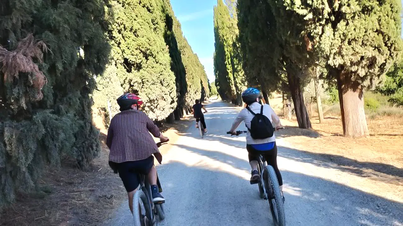 Combined e-bike tour