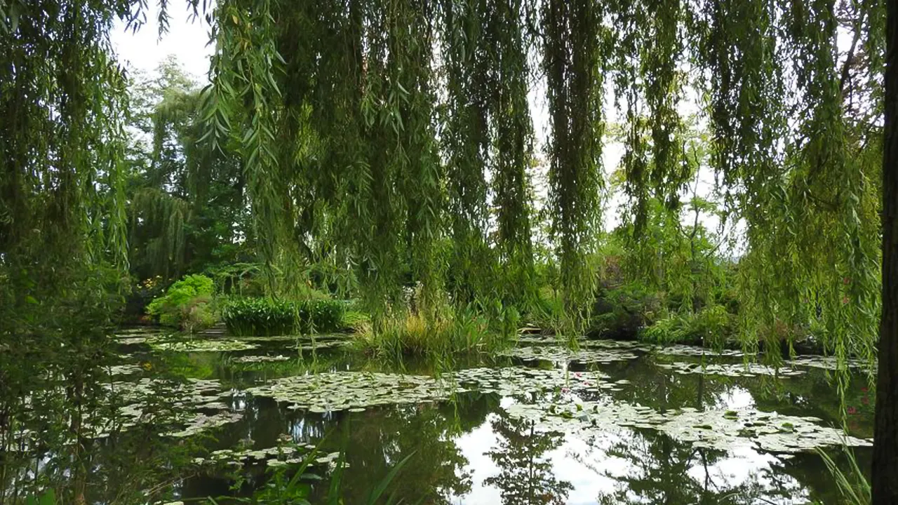 Monet’s House and Gardens