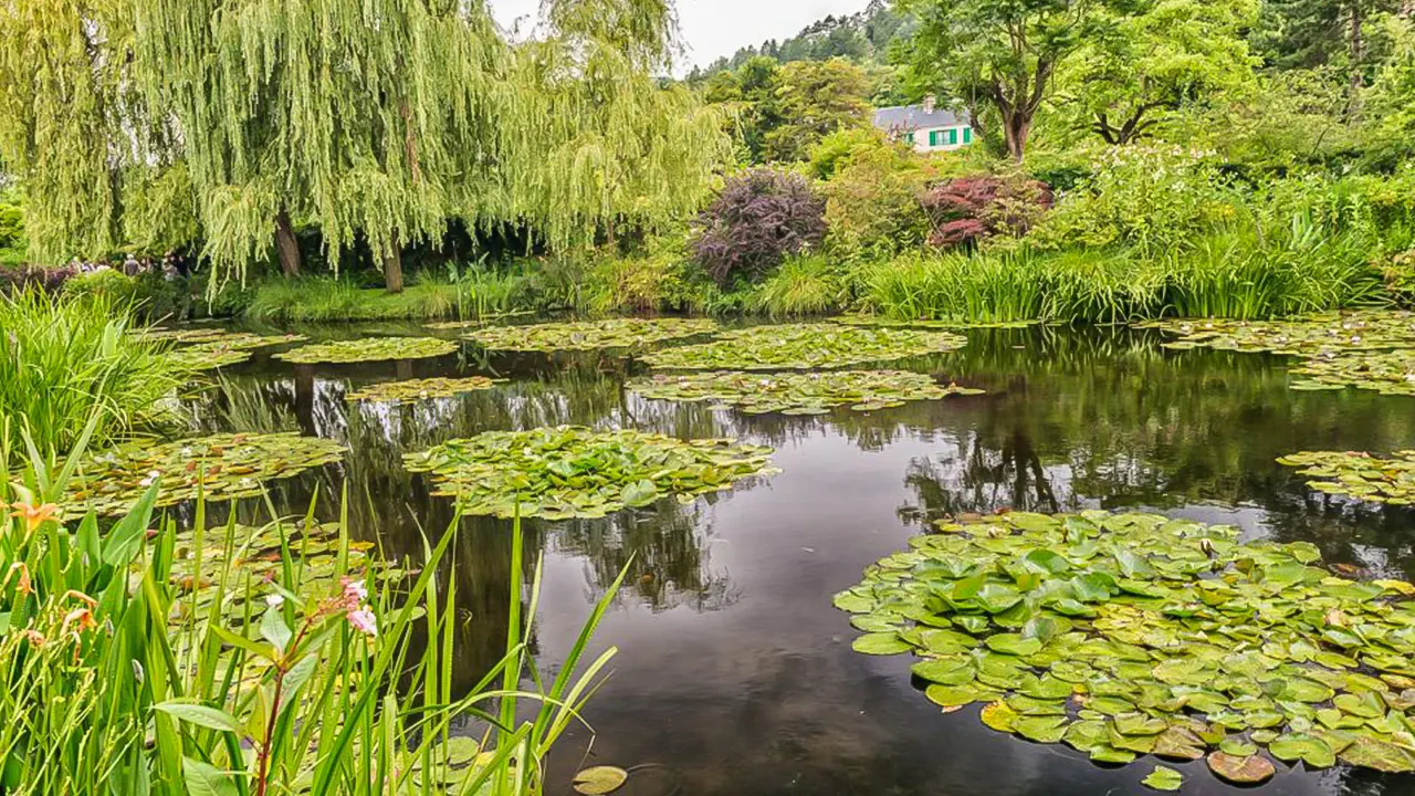 Day Trip to Monet's Garden in Giverny