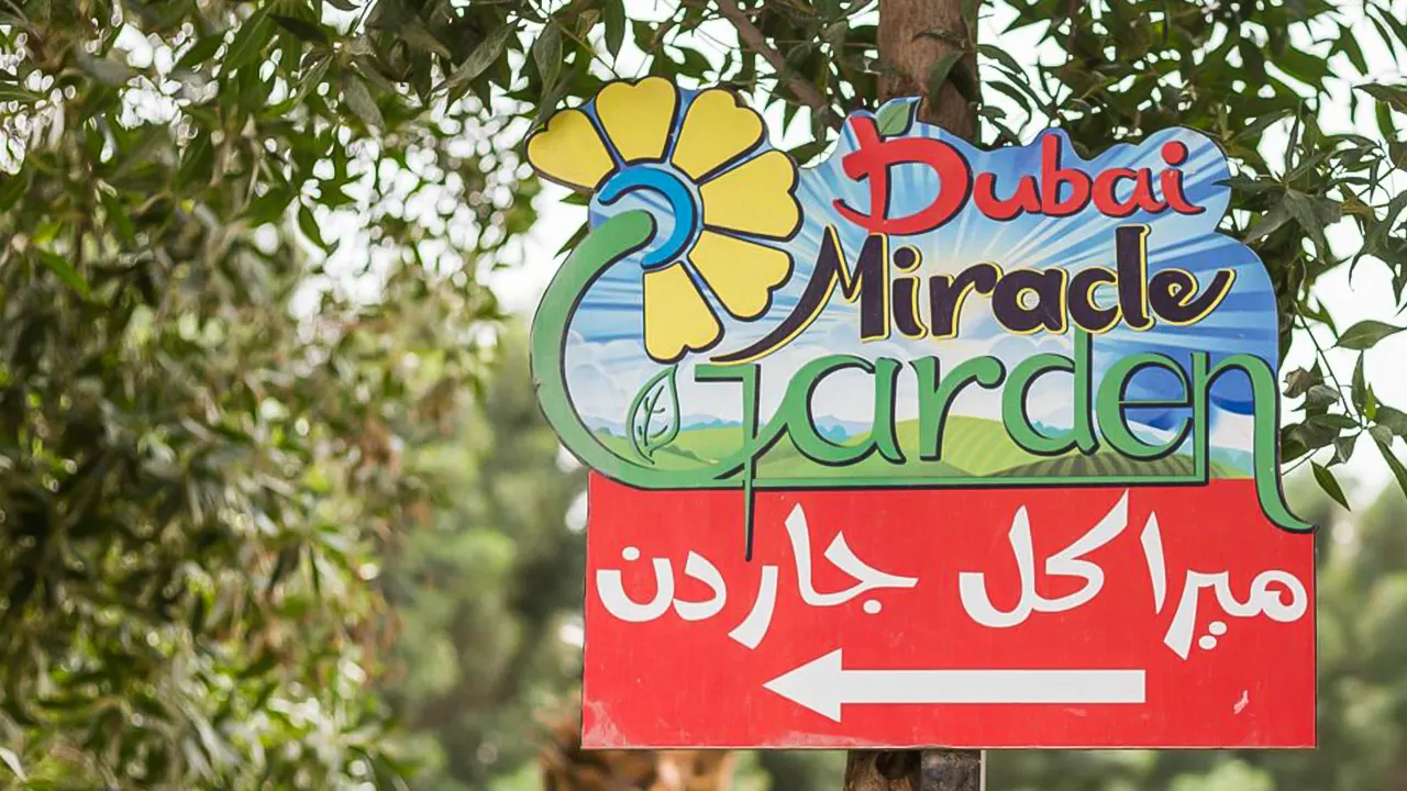 تخطي الطابور  في حديقة دبي المعجزة