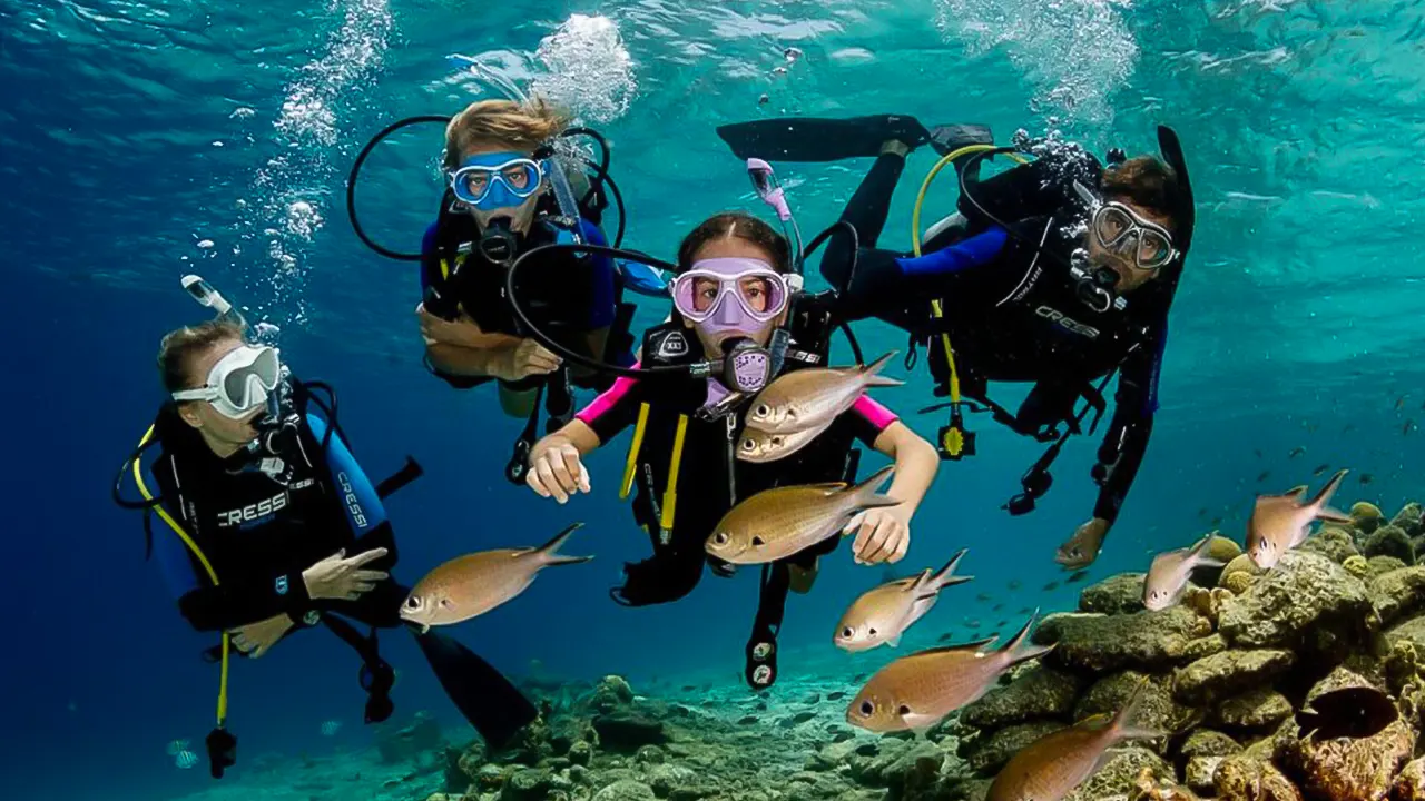 Ras Mohamed, White Island, Snorkel & Diving