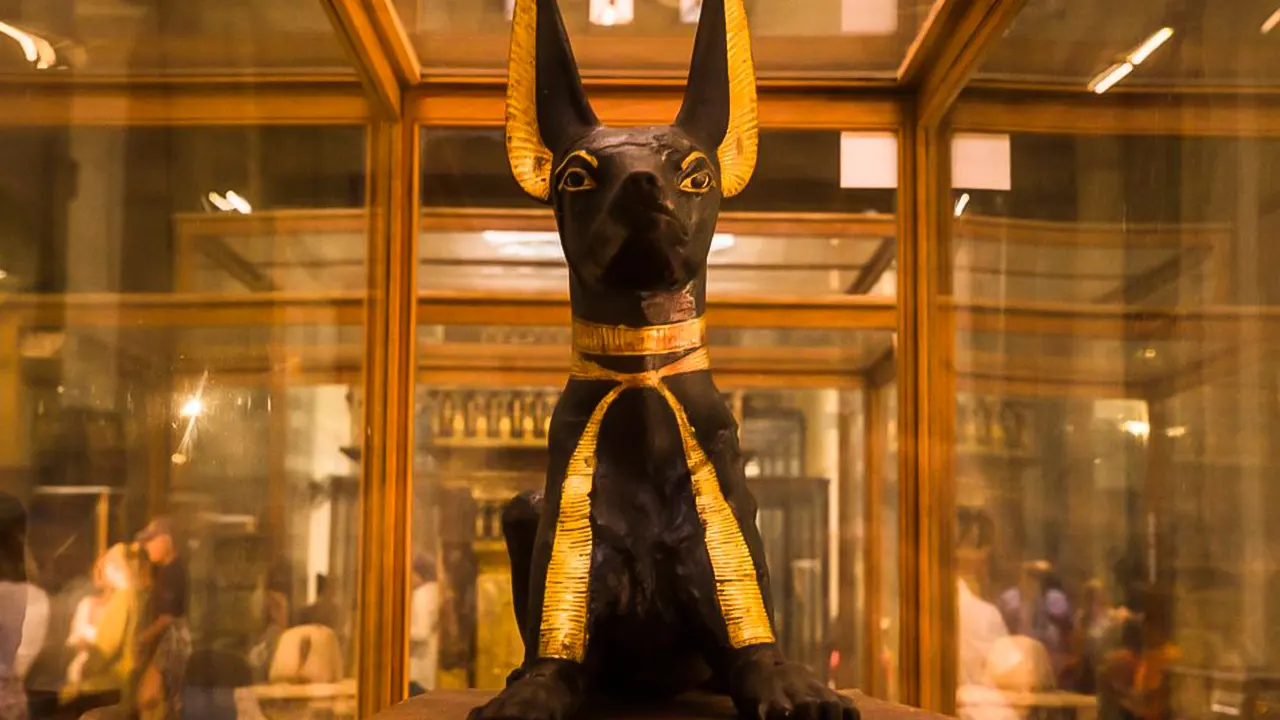 جولة المتحف المصري والأهرامات والبازار