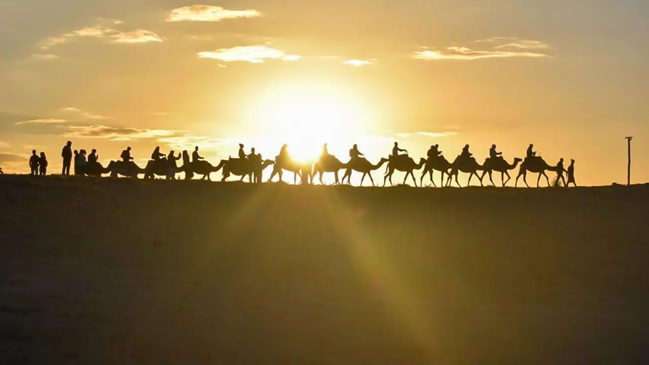 Desert sunset, camel ride and dinner