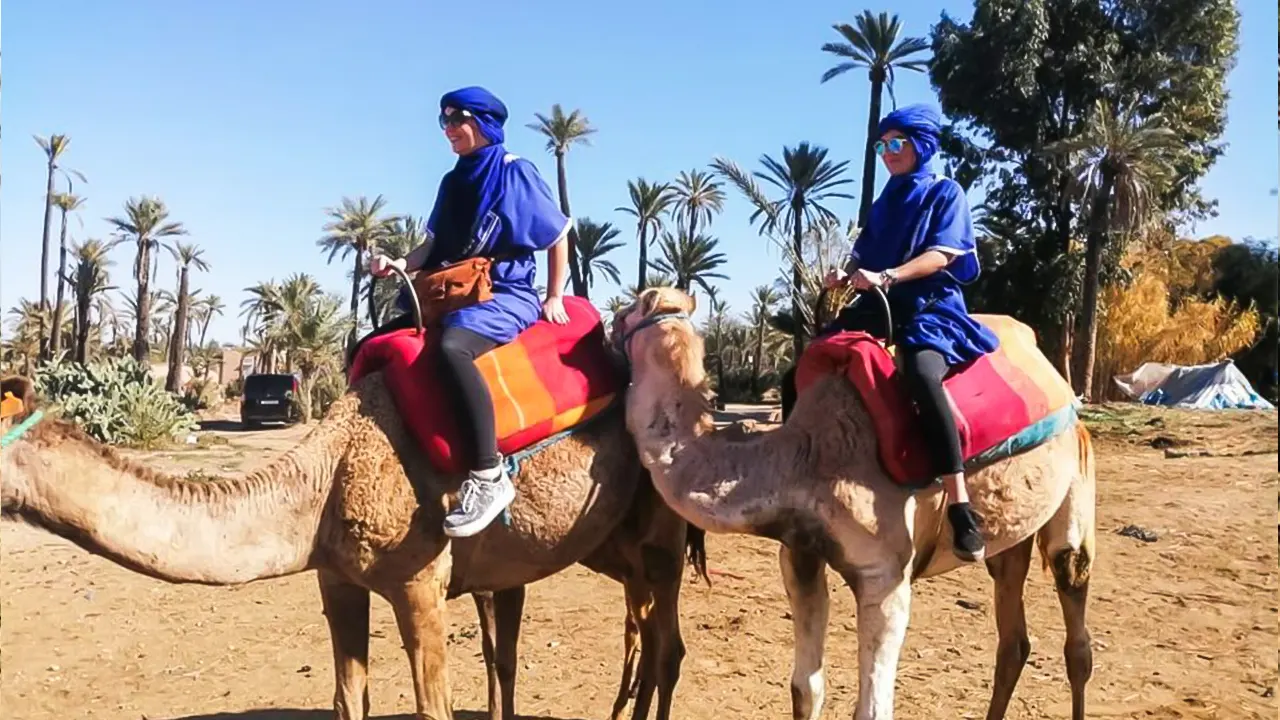 Camel Ride in the Oasis Palmeraie