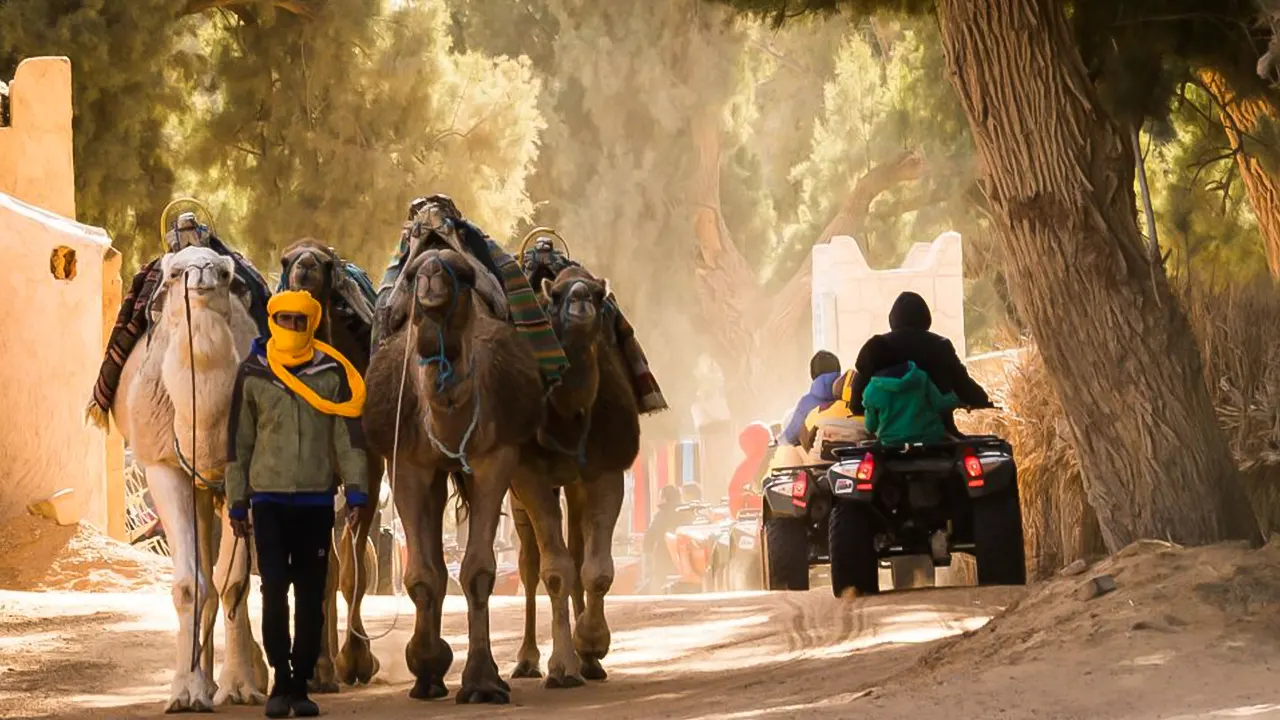 Tour Jeep 4x4, Camel Ride, El Jem