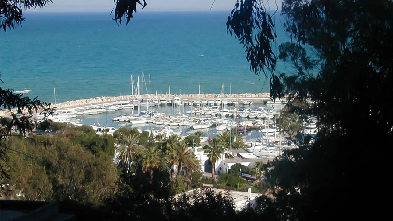 Tour to Carthage and Sidi Bou Said