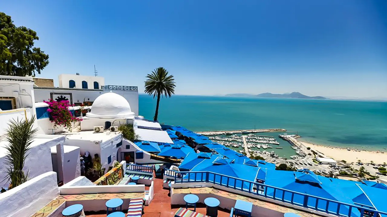 Tunis Full-Day Sightseeing Tour with Lunch
