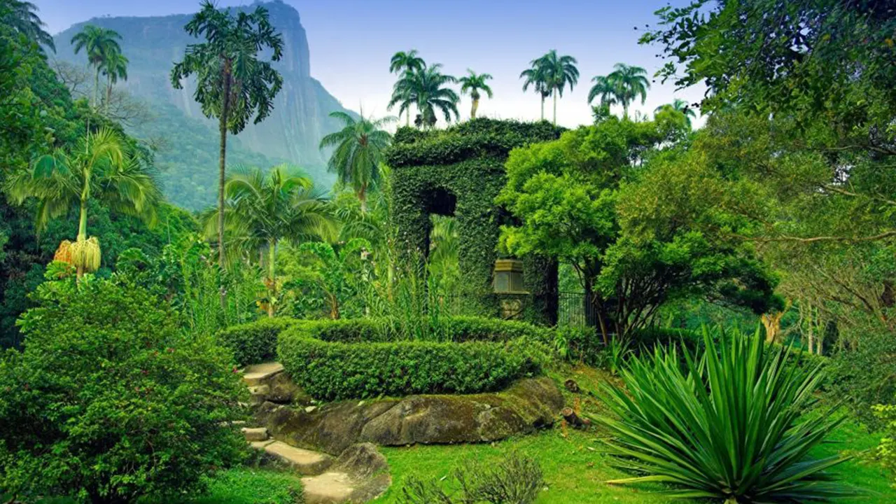 Botanical Garden Guided Tour & Parque Lage