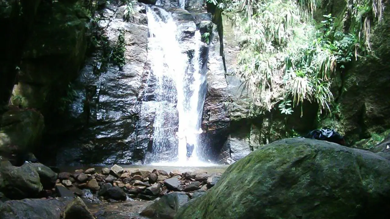 Tijuca Forest & Horto Waterfalls Circuit Tour