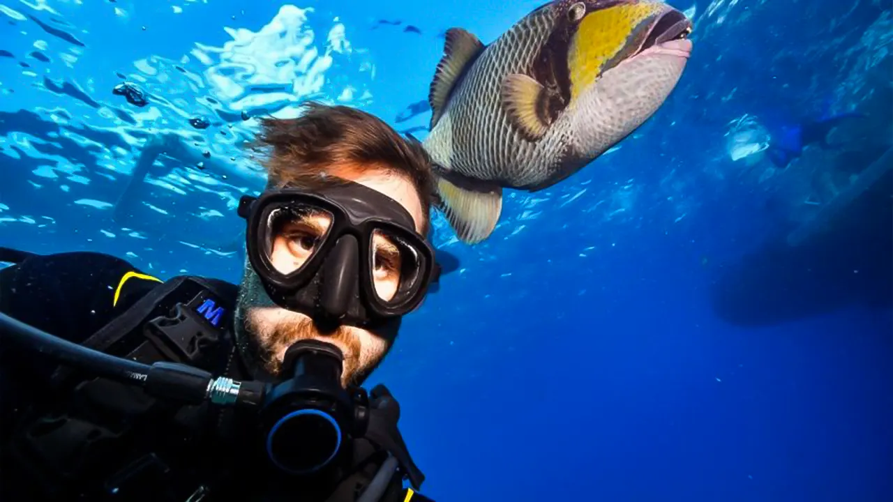 Ras Mohamed, White Island, Snorkel & Diving