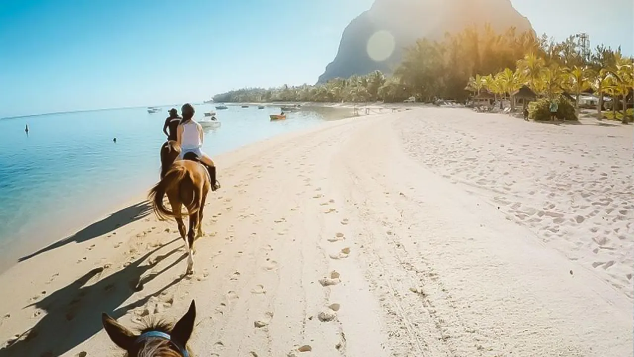 Desert and sea horse riding by Transport