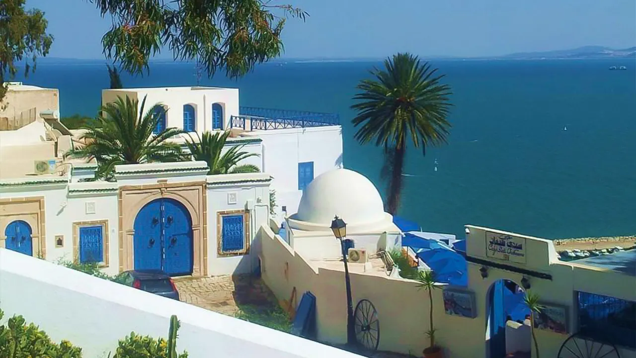 يوم خاص مدينة تونس قرطاج سيدي بو سعيد مع الغداء