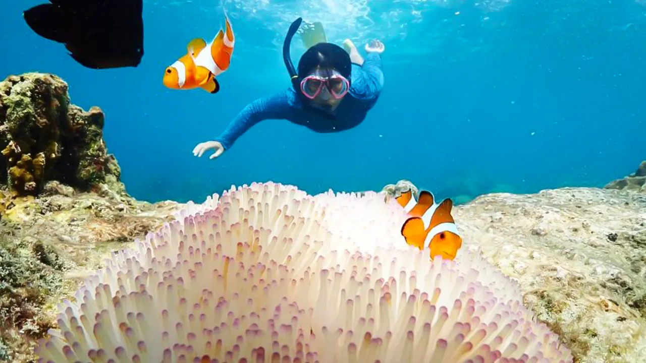 Snorkeling Experience in Bangkok